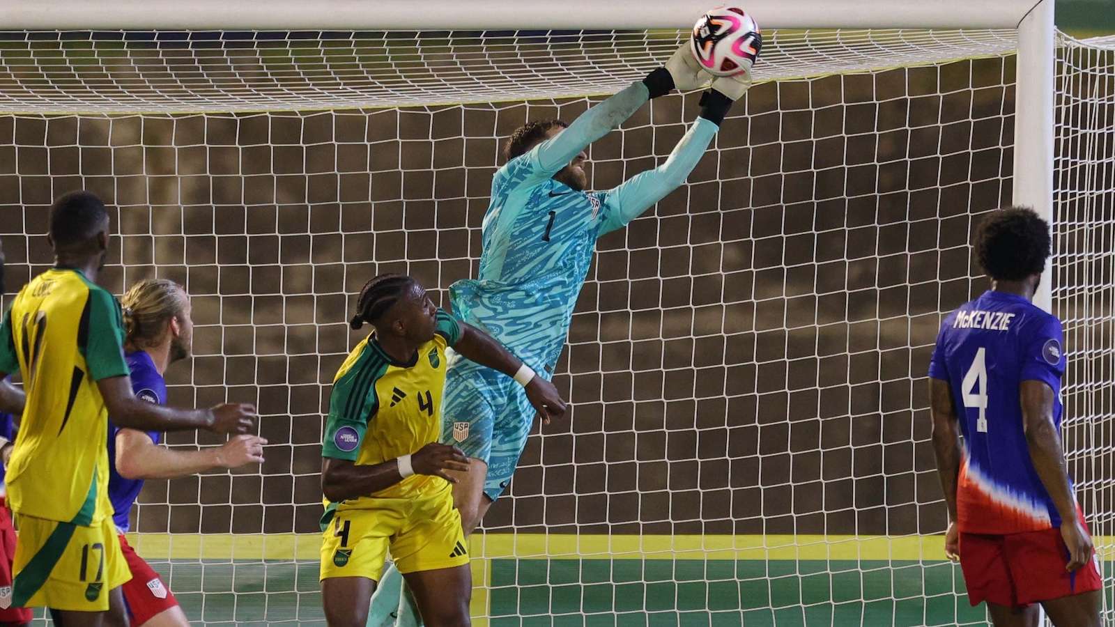 他们稳定的 他们稳定的