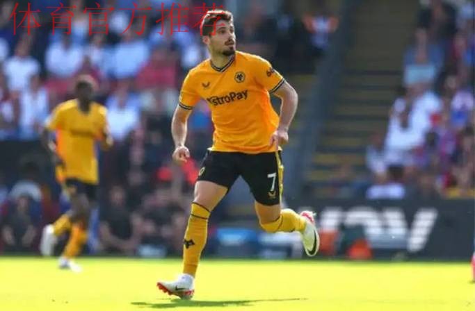 为什么狼队本赛季英超表现会这么差，处于垫底的位置？